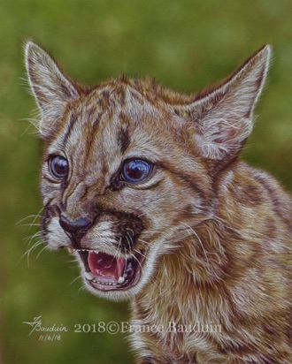Hear Me Roar! - 28 hours
Brown Pastelmat Board
12" x 9.5"
Ref: My own photo Hear Me Roar! - 28 hours
Brown Pastelmat Board
12" x 9.5"
Ref: My own photo